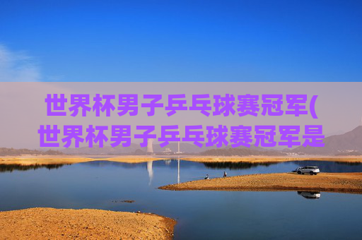 世界杯男子乒乓球赛冠军(世界杯男子乒乓球赛冠军是谁)