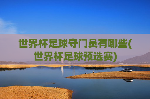 世界杯足球守门员有哪些(世界杯足球预选赛)