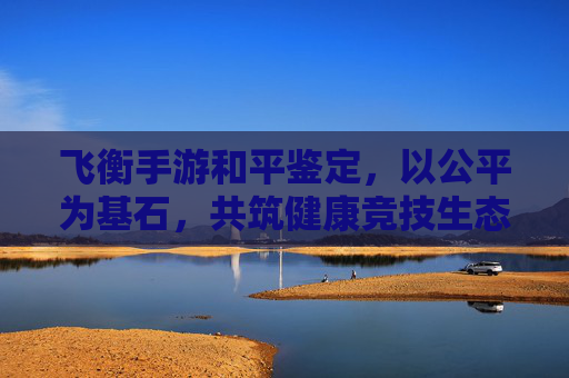 飞衡手游和平鉴定，以公平为基石，共筑健康竞技生态，飞衡手游和平鉴定，以公平为基石，共筑健康竞技生态