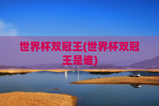 世界杯双冠王(世界杯双冠王是谁)
