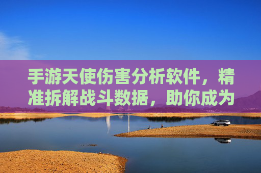 手游天使伤害分析软件，精准拆解战斗数据，助你成为战斗大师