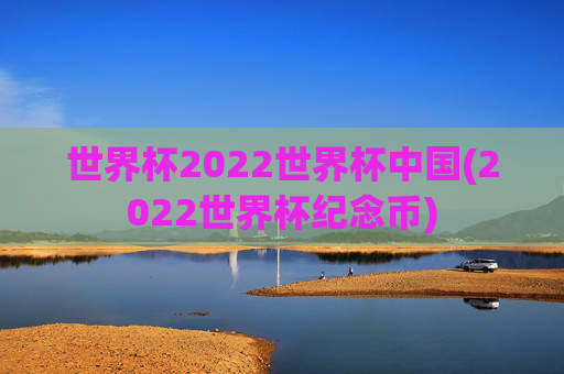 世界杯2022世界杯中国(2022世界杯纪念币)