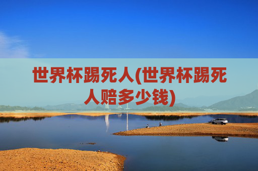 世界杯踢死人(世界杯踢死人赔多少钱)