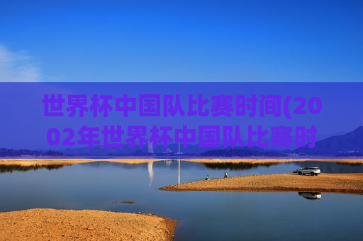世界杯中国队比赛时间(2002年世界杯中国队比赛时间)