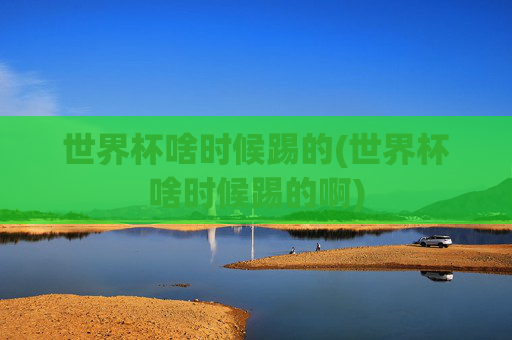 世界杯啥时候踢的(世界杯啥时候踢的啊)