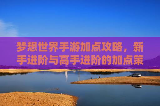 梦想世界手游加点攻略,新手进阶与高手进阶的加点策略解析,梦想世界手游加点攻略,新手进阶与高手进阶的加点策略解析