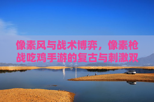 像素风与战术博弈,像素枪战吃鸡手游的复古与刺激双重魅力