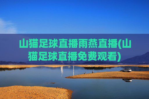 山猫足球直播雨燕直播(山猫足球直播免费观看)