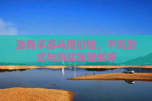 劲舞手游马尾价格,不同款式与购买策略解析