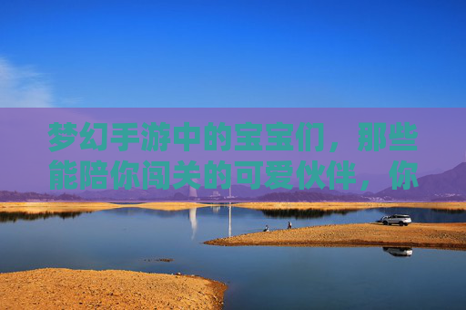 梦幻手游中的宝宝们,那些能陪你闯关的可爱伙伴,你都知道吗?梦幻手游中的宝宝们,那些能陪你闯关的可爱伙伴,你都认识吗?