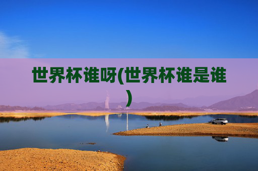 世界杯谁呀(世界杯谁是谁)