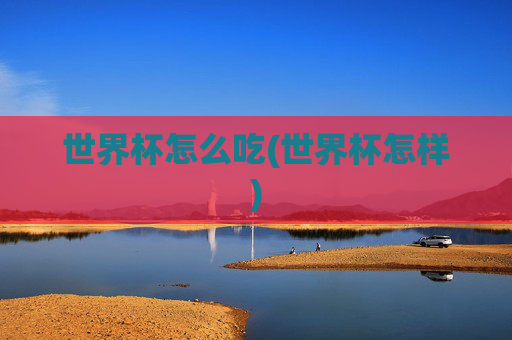 世界杯怎么吃(世界杯怎样)