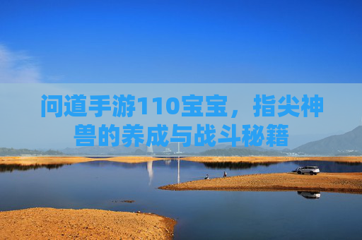 问道手游110宝宝，指尖神兽的养成与战斗秘籍
