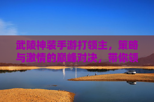 武陵神装手游打领主,策略与激情的巅峰对决,带你领略神装对决的震撼体验
