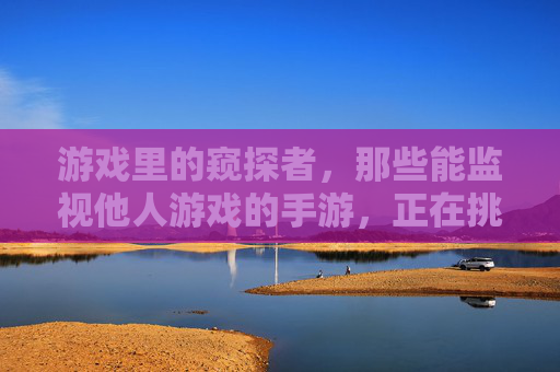 游戏里的窥探者，那些能监视他人游戏的手游，正在挑战隐私的底线