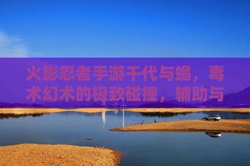 火影忍者手游千代与蝎,毒术幻术的极致碰撞,辅助与攻击的完美博弈