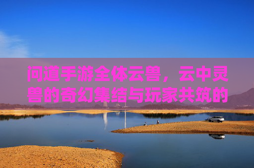 问道手游全体云兽,云中灵兽的奇幻集结与玩家共筑的仙侠篇章