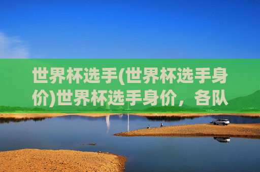 世界杯选手(世界杯选手身价)世界杯选手身价,各队核心球员市场价值汇总