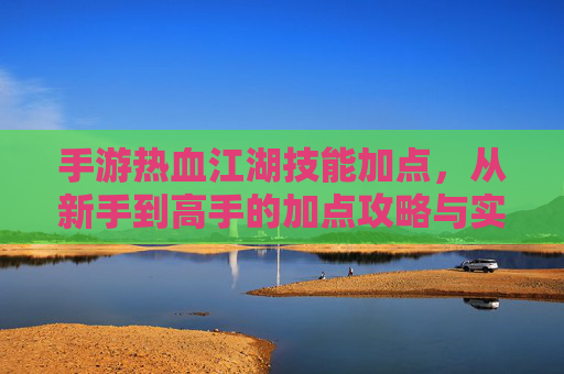 手游热血江湖技能加点,从新手到高手的加点攻略与实战优化