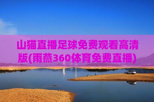 山猫直播足球免费观看高清版(雨燕360体育免费直播)