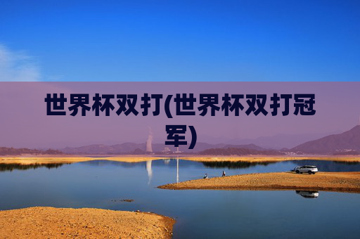 世界杯双打(世界杯双打冠军)