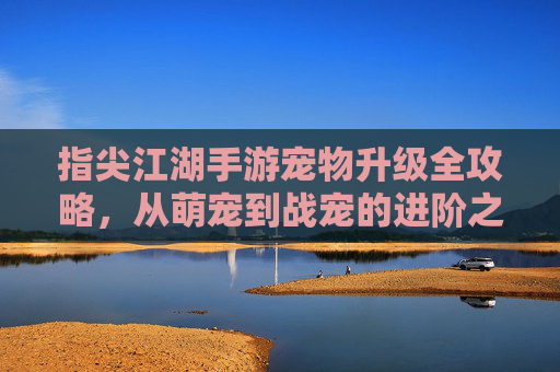 指尖江湖手游宠物升级全攻略，从萌宠到战宠的进阶之路