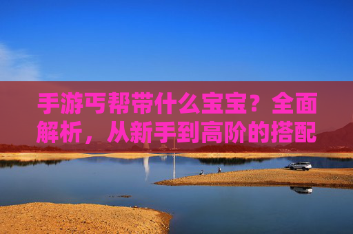 手游丐帮带什么宝宝？全面解析，从新手到高阶的搭配策略与推荐，手游丐帮宝宝搭配策略，从新手到高阶的全面解析与推荐