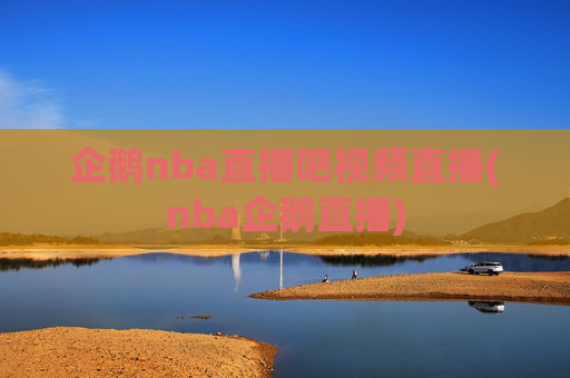 企鹅nba直播吧视频直播(nba企鹅直播)