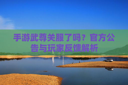 手游武尊关服了吗?官方公告与玩家反馈解析