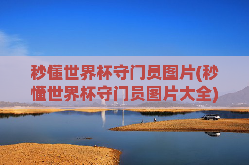 秒懂世界杯守门员图片(秒懂世界杯守门员图片大全)