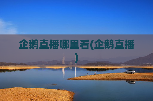 企鹅直播哪里看(企鹅直播)