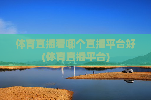 体育直播看哪个直播平台好(体育直播平台)