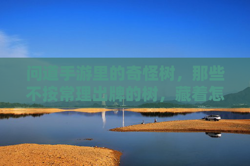 问道手游里的奇怪树,那些不按常理出牌的树,藏着怎样的神秘故事?