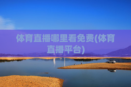 体育直播哪里看免费(体育直播平台)