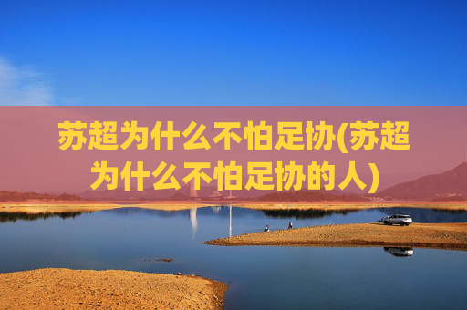 苏超为什么不怕足协(苏超为什么不怕足协的人)
