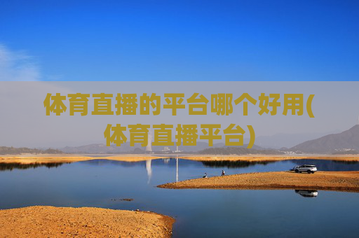 体育直播的平台哪个好用(体育直播平台)