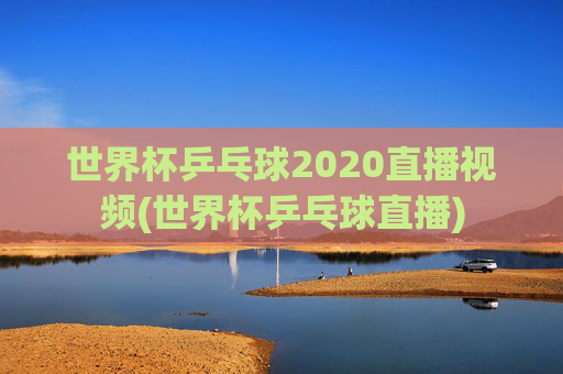 世界杯乒乓球2020直播视频(世界杯乒乓球直播)