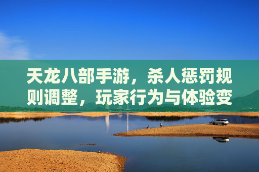 天龙八部手游,杀人惩罚规则调整,玩家行为与体验变化分析
