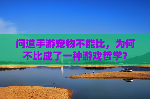 问道手游宠物不能比,为何不比成了一种游戏哲学?