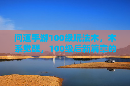 问道手游100级玩法木，木系觉醒，100级后新篇章的深度解析