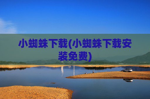 小蜘蛛下载(小蜘蛛下载安装免费)