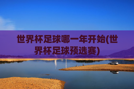 世界杯足球哪一年开始(世界杯足球预选赛)
