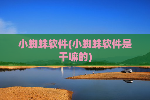 小蜘蛛软件(小蜘蛛软件是干嘛的)