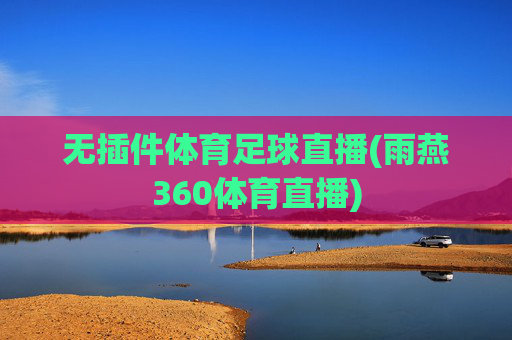 无插件体育足球直播(雨燕360体育直播)