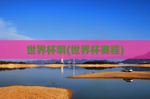 世界杯啊(世界杯赛程)