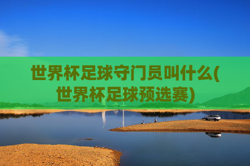 世界杯足球守门员叫什么(世界杯足球预选赛)