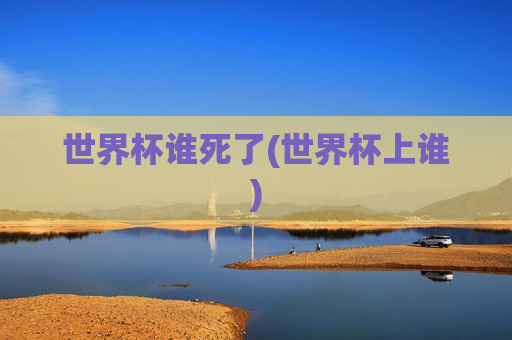 世界杯谁死了(世界杯上谁)