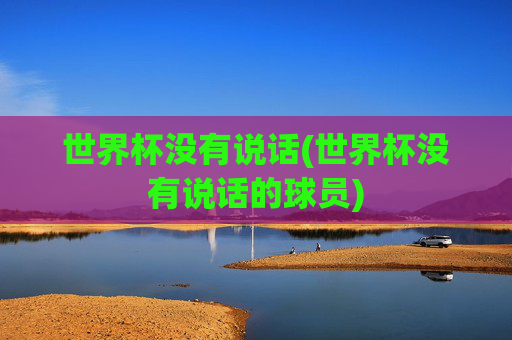 世界杯没有说话(世界杯没有说话的球员)