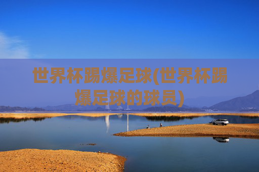 世界杯踢爆足球(世界杯踢爆足球的球员)
