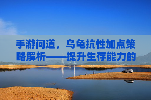 手游问道,乌龟抗性加点策略解析——提升生存能力的关键